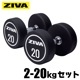 XP 2kg-20kg ���쥿�� ����٥롿��̳�ѥ���٥�ڥ���٥� Ŵ���쥤 ���졼�ۡ�ZIVA�ʥ��������ˡաڶڥȥ� �ܥǥ��ᥤ�� ���β�¤��