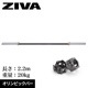 Men'sʥ󥺡˥ԥåСԥåСڥ٥ Ŵ쥤 С٥ۡҶ̳ѡӡZIVAʥˡաڶڥȥ ܥǥᥤ β¤