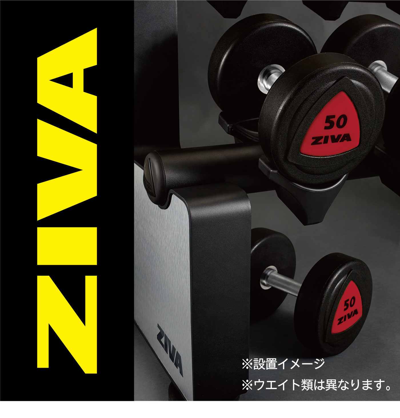 ��С�����٥�5�ڥ��ܥ���٥��å����åȡ�2.5kg-22.5kg�ˡڥ���٥� Ŵ���쥤 �С��٥�ۡҶ�̳�ѡӡ�ZIVA�ʥ��������ˡաڶڥȥ� �ܥǥ��ᥤ�� ���β�¤��