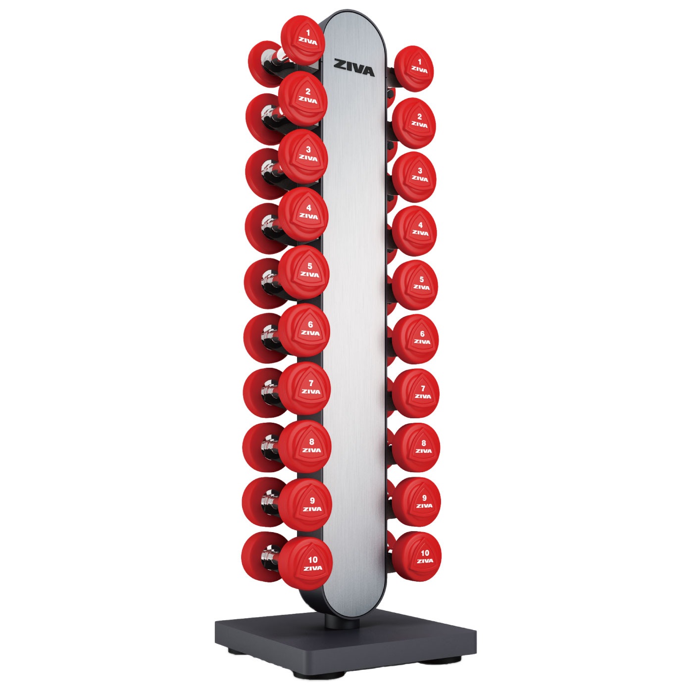 ダンベル　セット　1-10キロ　ペア　ラック付き ZVO ウレタントライベル1-10kg＋ST 1-10kgスタジオダンベル