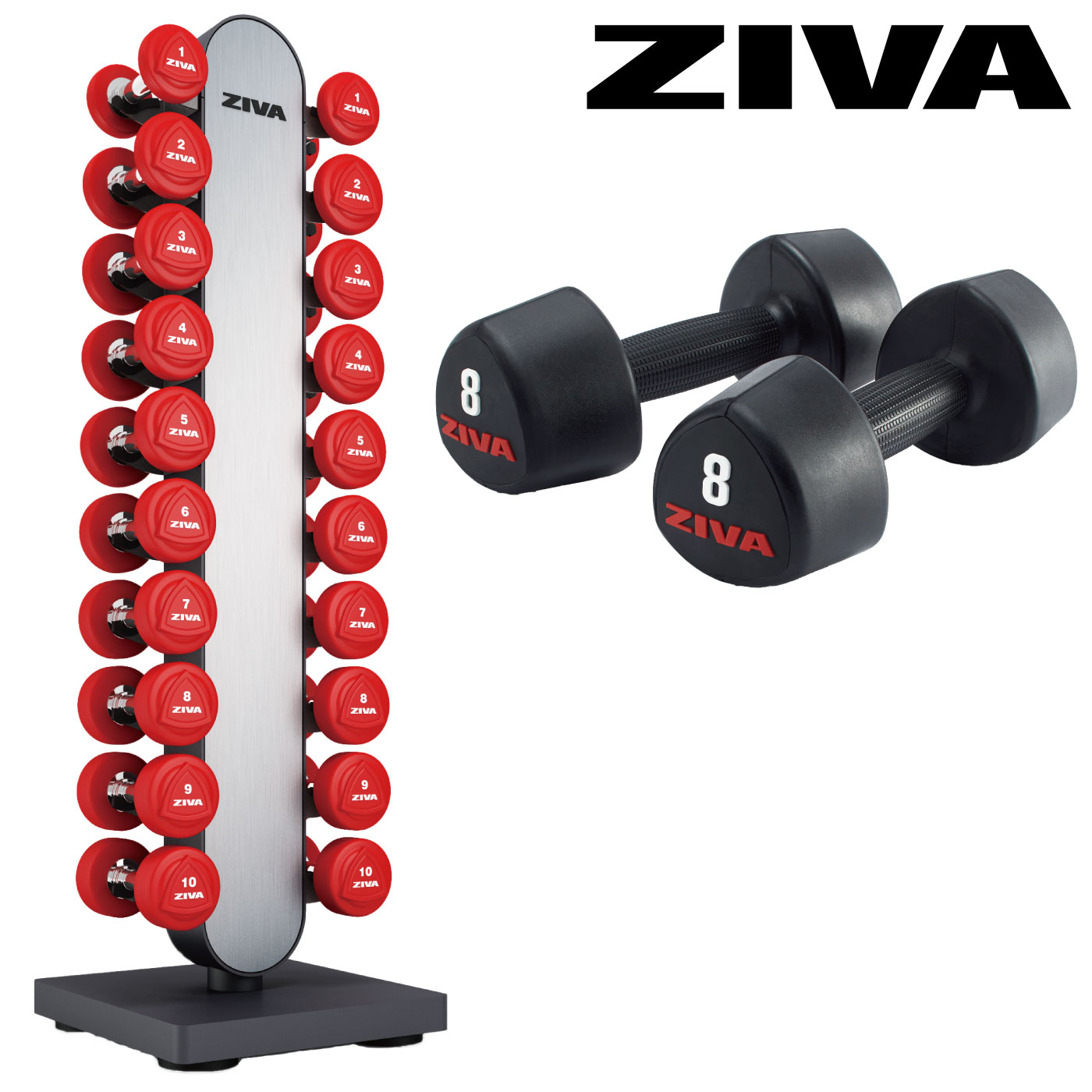 ZIVA ダンベルラック、ダンベル10ペアセット 1kg~10kg×2 20個 EX 10ペア ダンベルラック（20個収納）｜業務用ダンベルラック