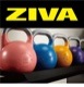 �������륳��ڥƥ������ ���ȥ�٥�10�ġ�EX���ȥ�٥��å����åȡ�8kg-40kg�ˡڥ���٥� Ŵ���쥤 �С��٥�ۡҶ�̳�ѡӡ�ZIVA�ʥ��������ˡաڶڥȥ� �ܥǥ��ᥤ�� ���β�¤��