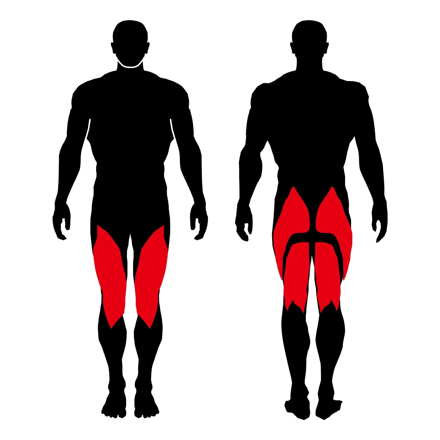 GO-S70�ʥ�å��ץ쥹�ˡ�GO���꡼���ӡ���̳�ѥ��ȥ�󥰥��ޥ���ڥ������ȥȥ졼�˥� ���ȥ�󥰥��ޥ��� �ȥ졼�˥󥰥ޥ���ۡҶ�̳��MATRIX�ӡԥ���󥽥�إ륹�ƥå��աڶڥȥ� �ܥǥ��ᥤ�� ���β�¤��