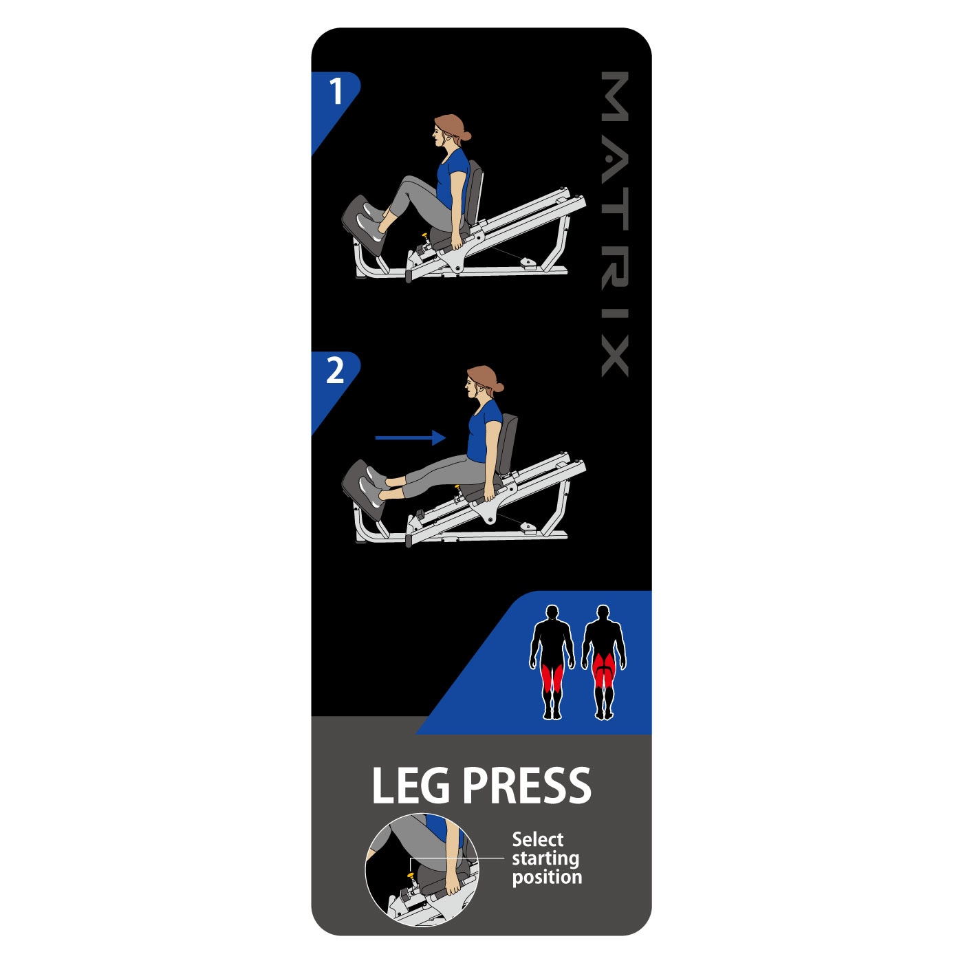 GO-S70�ʥ�å��ץ쥹�ˡ�GO���꡼���ӡ���̳�ѥ��ȥ�󥰥��ޥ���ڥ������ȥȥ졼�˥� ���ȥ�󥰥��ޥ��� �ȥ졼�˥󥰥ޥ���ۡҶ�̳��MATRIX�ӡԥ���󥽥�إ륹�ƥå��աڶڥȥ� �ܥǥ��ᥤ�� ���β�¤��