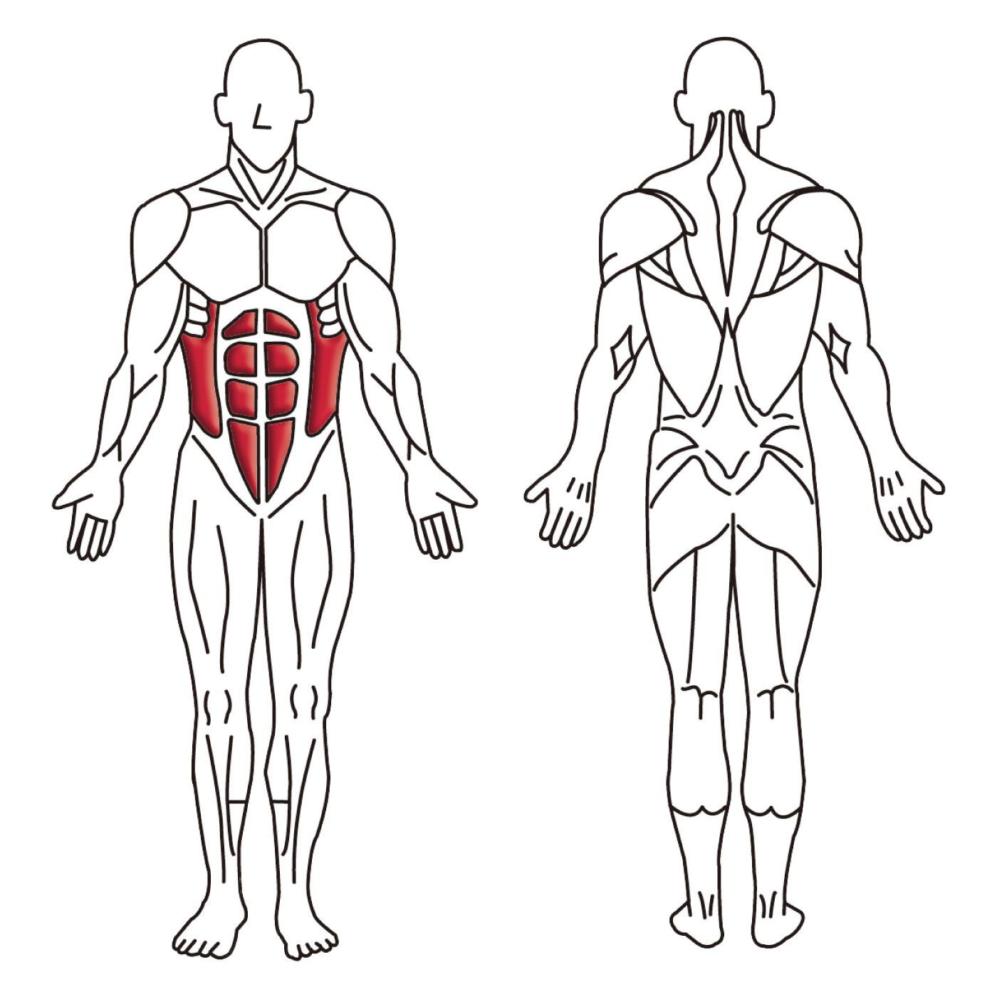 DK-670（ロータリートーソ）｜準業務用 油圧式トレーニングマシン