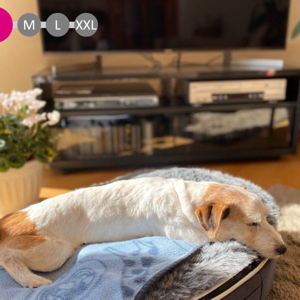 犬ペットラウンジ グレー/ウルフグレー | ギフト・雑貨 | イズミファニチャーオンライン  -家具・インテリア雑貨・北欧ヴィンテージのイズミファニチャーオンライン