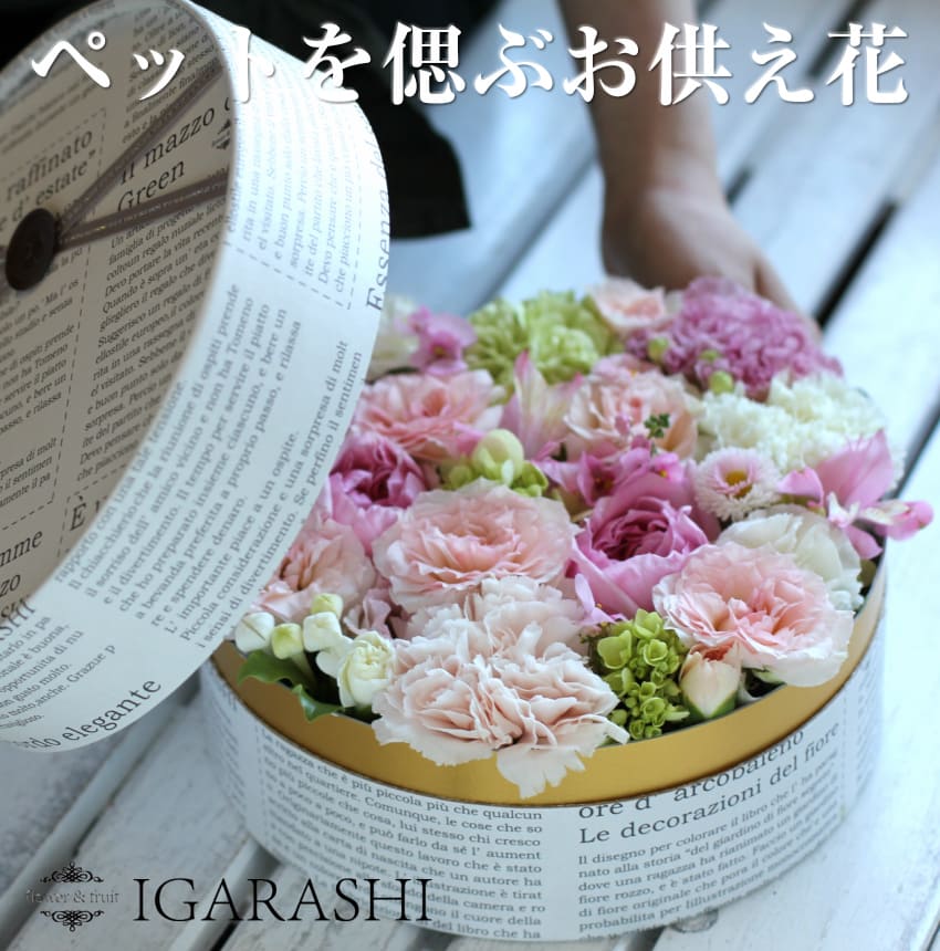 【 お供え 花 ペット 】 フラワーケーキ Mサイズ アレンジメント フラワーアレンジメント ボックス フラワー 花 ギフト フラワー アレンジ 犬 猫