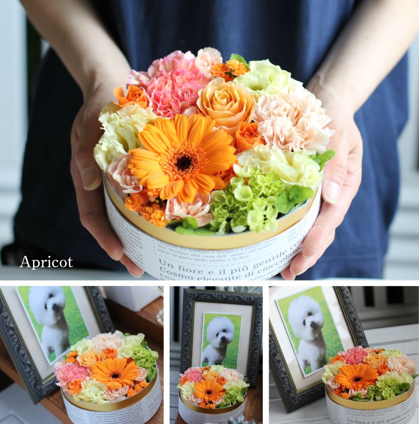 【 お供え 花 ペット 】 フラワーケーキ Sサイズ アレンジメント フラワー 花 ギフト フラワー アレンジ フラワーアレンジメント ボックス 犬 猫