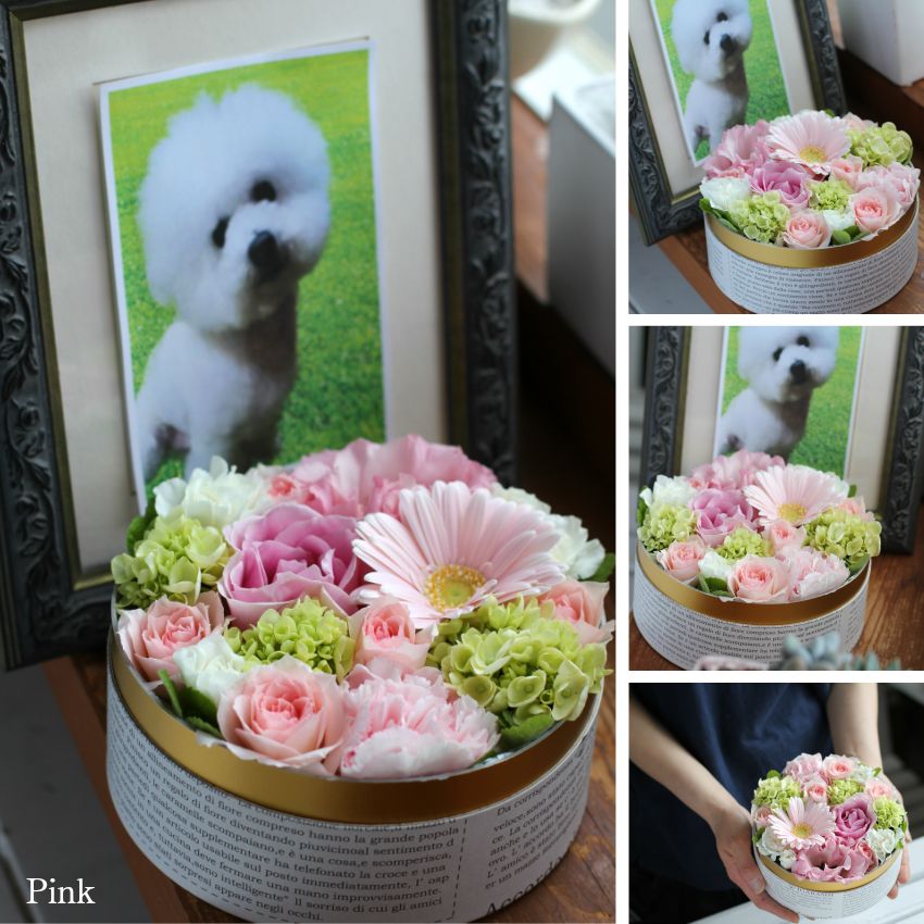 【 お供え 花 ペット 】 フラワーケーキ Sサイズ アレンジメント フラワー 花 ギフト フラワー アレンジ フラワーアレンジメント ボックス 犬 猫