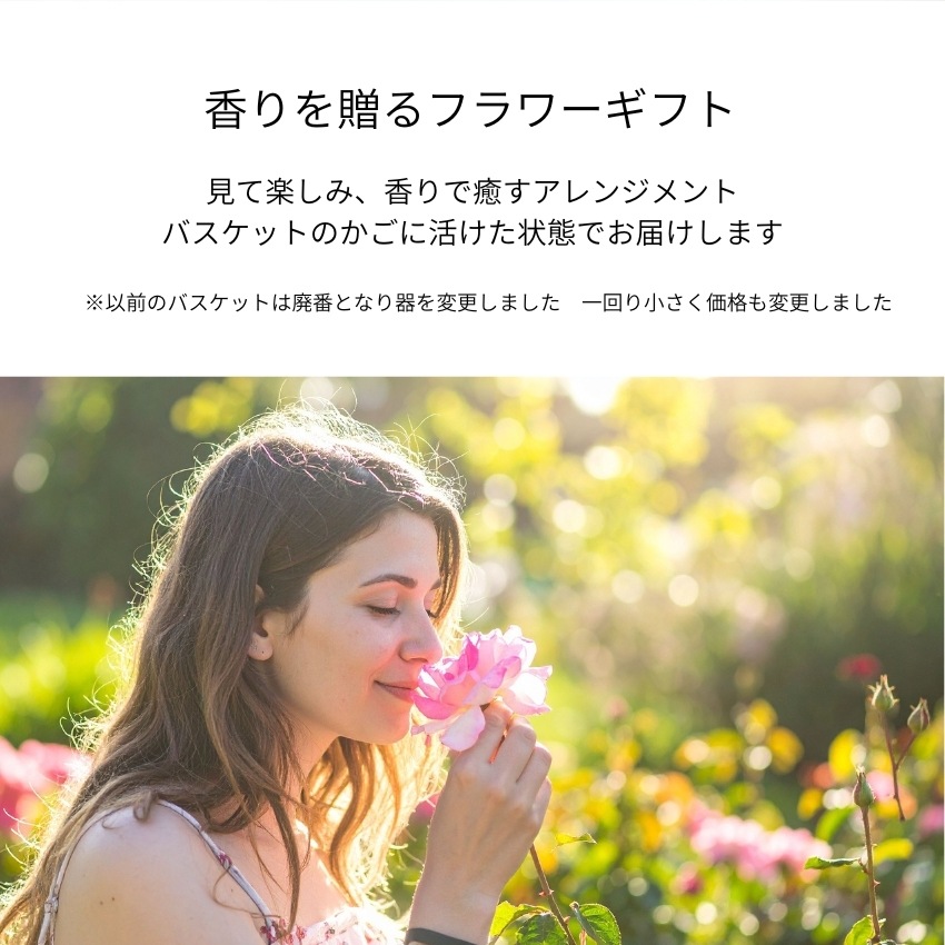 【 ピンクバラのアレンジ 】 花 誕生日 バレンタイン プレゼント アレンジメント フラワー ギフト フラワー お祝い 開店祝い 花 バラ ピンク