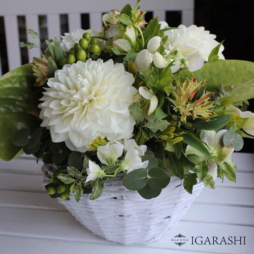 【 フラワーアレンジメント 】 花 誕生日 バレンタイン プレゼント ギフト フラワー お祝い 開店祝い お供え 花・ガーデン 白 グリーン