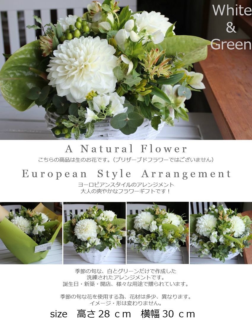 【 フラワーアレンジメント 】 花 誕生日 バレンタイン プレゼント ギフト フラワー お祝い 開店祝い お供え 花・ガーデン 白 グリーン