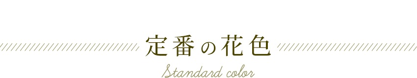 【 フラワーアレンジメント 】  花 ギフト 誕生日 クリスマス プレゼント アレンジメント フラワー