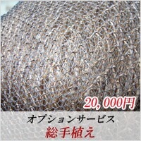 ���ץ���󥵡��ӥ������꿢����