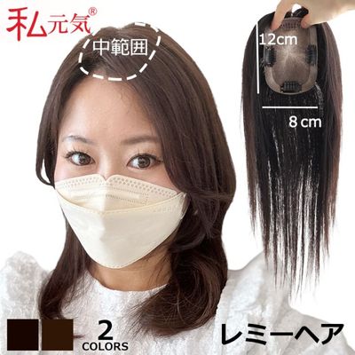 私元気　部分ウィッグ 私元気 部分ウィッグ 全国カット 返品交換OK 中小面積 7×10cm