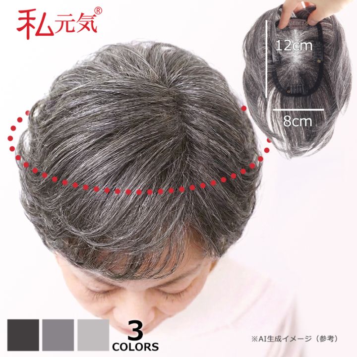 ウィッグ１０個セット 公式】私元気ウィッグ専門店 | 【中面積 8×12cm】白髪 部分ウィッグ