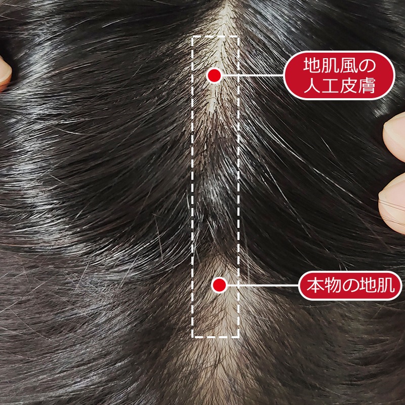  812cmۥߡإ  ̵ ʬܼͳ ʼ 꿢 ʬå 30cm 35cm 40cm إԡ ȱ Ĥ ꥢ ȥåץС Ƭĺ к