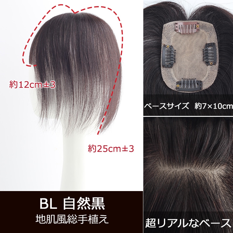  ѥåĥȱ  꿢 ʬå ݥȥå 25cm ȱ Ĥ ȥåץС  ǥ Ĥसդ ꥢ ʥ ȱ ȱС դ к BHABDS710/812/914