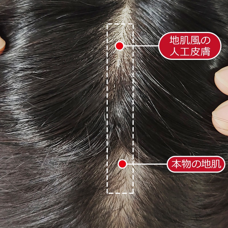 Ҥ󤵤Ȼ丵Ʊȯ  914cmۼ ̵ ʬܼͳ ߡإ 꿢 ʬå 40cm إԡ ȱ ʼ Ĥ ꥢ ȥåץС Ƭĺ к