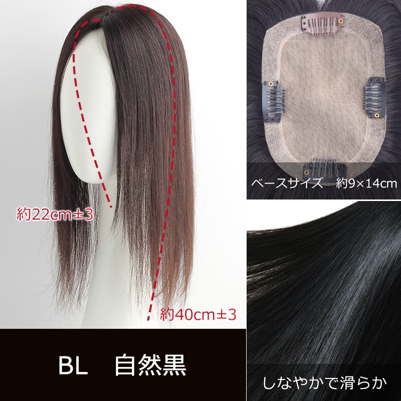 Ҥ󤵤Ȼ丵Ʊȯ  914cmۼ ̵ ʬܼͳ ߡإ 꿢 ʬå 40cm إԡ ȱ ʼ Ĥ ꥢ ȥåץС Ƭĺ к