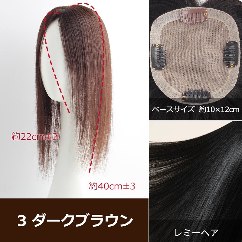 公式】私元気ウィッグ専門店 | 最高級 レミーヘア 【大面積 10×12cm