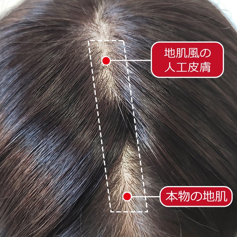 ���������� 16��18cm�ۼ��� �̵���  ����  ʬ���ܼ�ͳ ���ʼ����� ���꿢�� ��ʬ�����å� �إ��ԡ��� �ݥ���ȥ����å� �ȥåץ��С� ���� �ܥ�塼�� ���� Ƭĺ�� ��Ƭ�� ������ ���ϰϥ��С� ��ȱ������ ��ȱ���С� �����к�