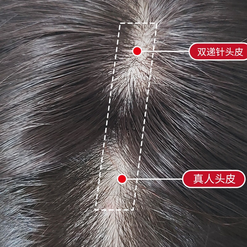 ھ 48cm̵ Ķ  ʬܼͳ  꿢 ʬå إԡ ȱ Ĥ ȥåץС Ƭĺ к 丵 BHA48/BHADS48