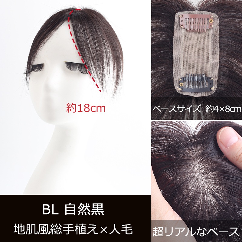 ھ 48cm̵ Ķ  ʬܼͳ  꿢 ʬå إԡ ȱ Ĥ ȥåץС Ƭĺ к 丵 BHA48/BHADS48