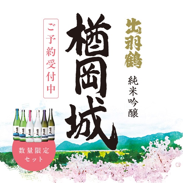 ���견��۽б��� ���ƶ�� 