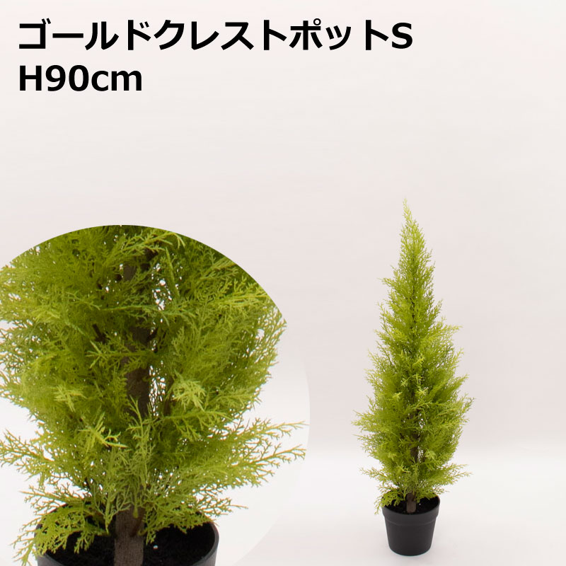 H90cmゴールドクレストポット S 代金引換不可 送料区分 1 造花や人工観葉植物の通販サイト インテリアグリーンドットコム H90cmゴールドクレストポット S 代金引換不可 送料区分 1 造花や人工観葉植物の通販サイト インテリアグリーンドットコム