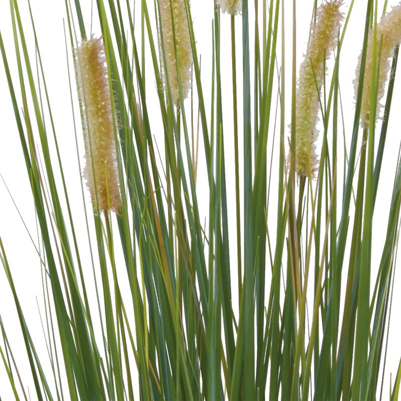 キャットテールグラスポットm グリーン Gla 1392gr Tdyzrpcxgg アレンジメント用品 資材 Editorialdismes Com キャットテールグラスポットm グリーン Gla 1392gr Tdyzrpcxgg アレンジメント用品 資材 Editorialdismes Com