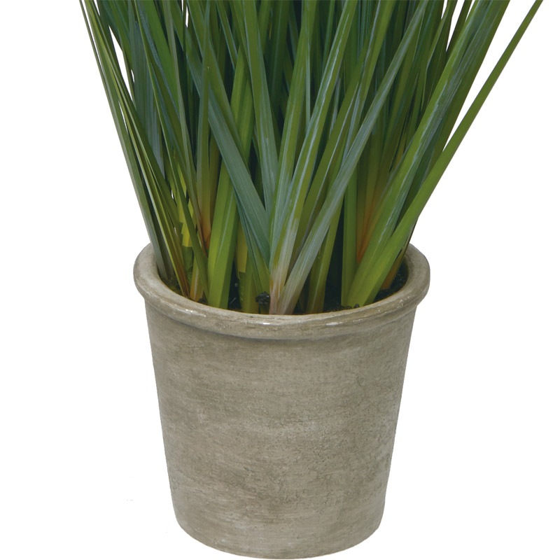 キャットテールグラスポットm グリーン Gla 1392gr Tdyzrpcxgg アレンジメント用品 資材 Editorialdismes Com キャットテールグラスポットm グリーン Gla 1392gr Tdyzrpcxgg アレンジメント用品 資材 Editorialdismes Com