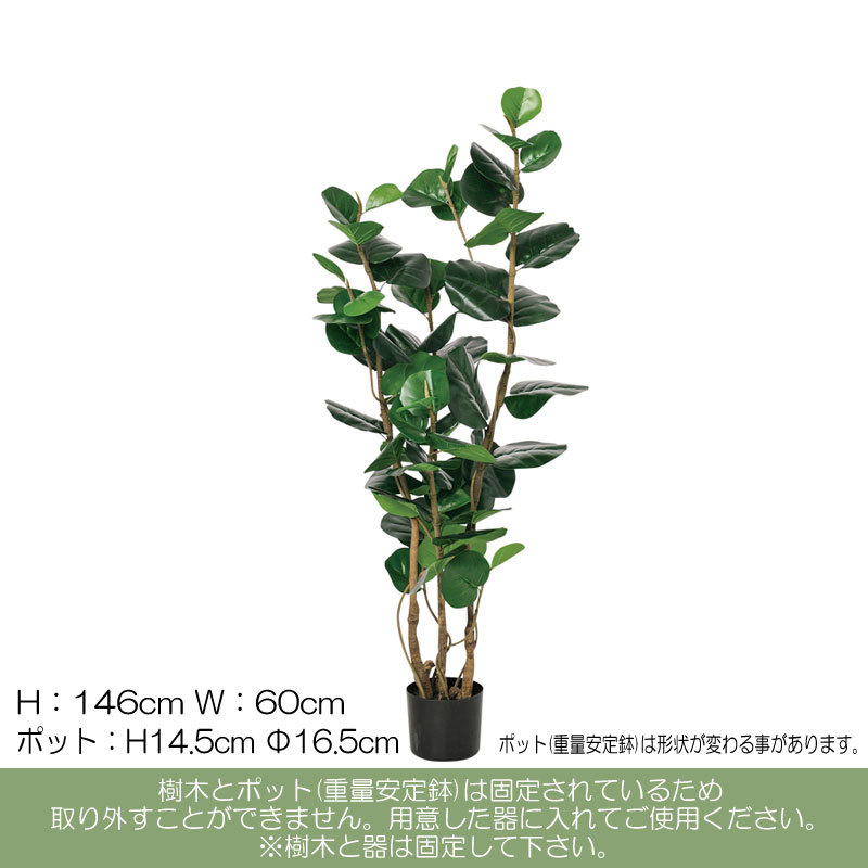 光触媒　人工観葉植物　ウォールグリーン　フェイクグリーン　インディアンアーモンド 光触媒 人工観葉植物 ウォールグリーン フェイクグリーン