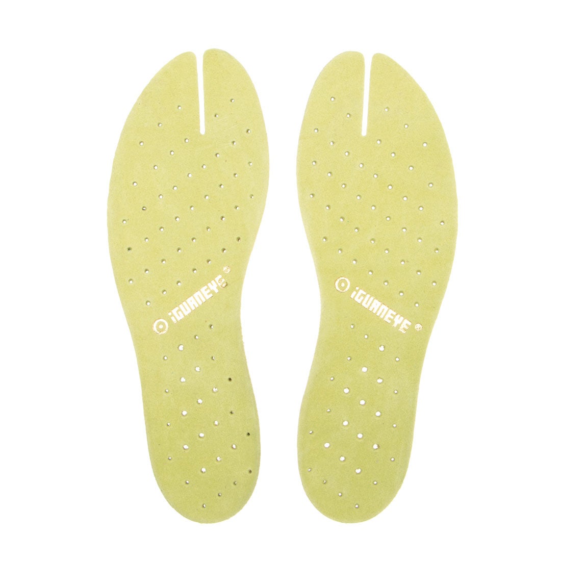 FSINSOLE INSOLEPale Green
