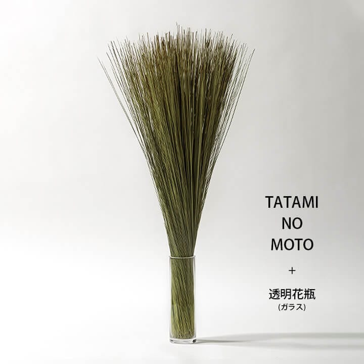 15_000000000959.jpg?1719381909