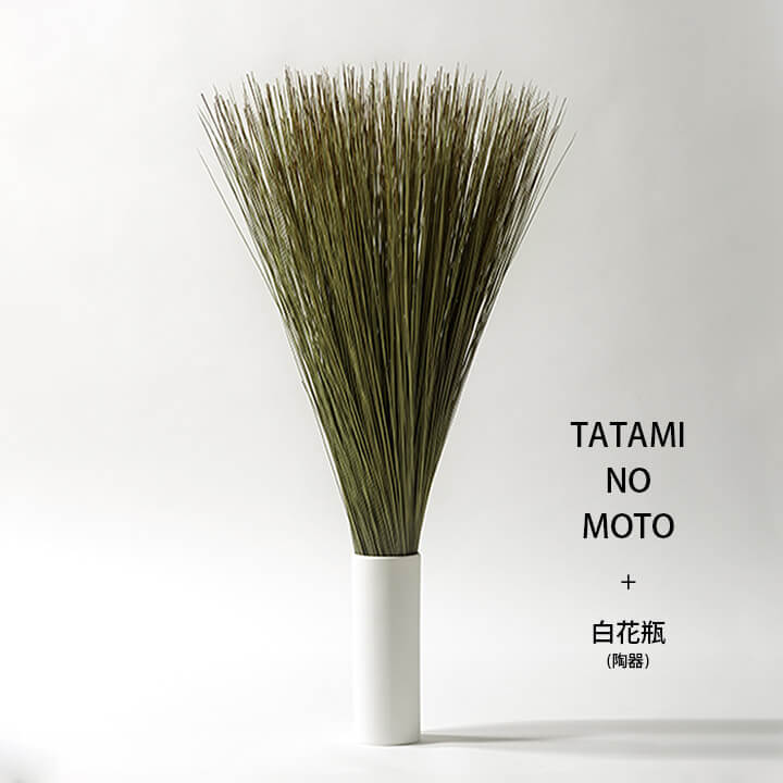 16_000000000959.jpg?1719381909