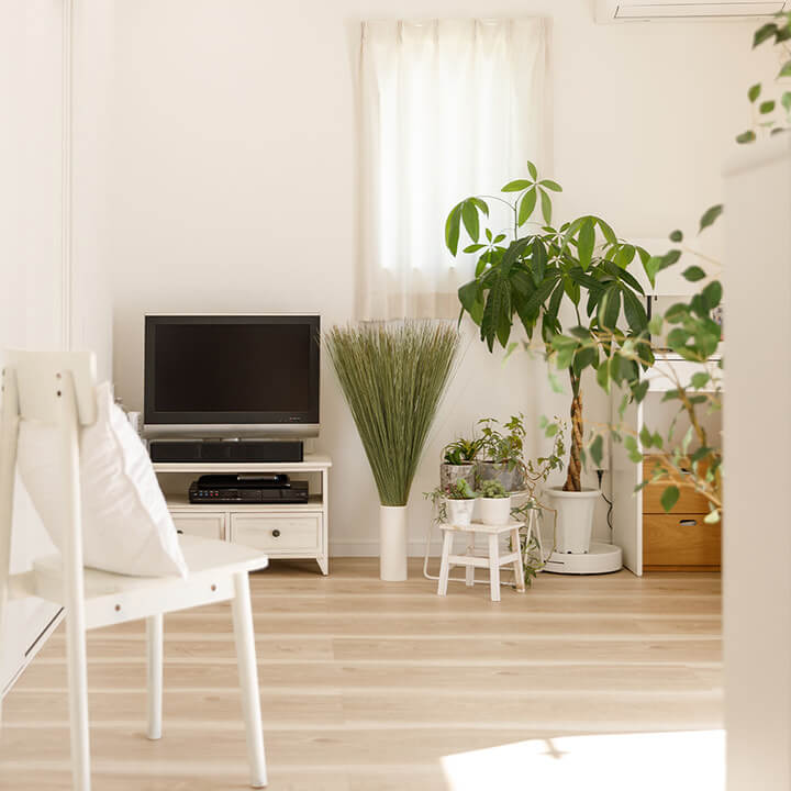 い草 インテリア TATAMI NO MOTO | い草屋さんこたつ屋さん本店