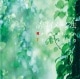 誘導イメージ法　小板橋 喜久代CD 旧譜   OUTLET|ヒーリングミュージック（癒し音楽）☆CD・DVD|癒し・リラクゼーション