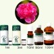 アロマ レアバリューオイル 希少価値精油  Herbal Life ダマスクローズ ローズオットー 生活の木|エッセンシャルオイル・精油|癒し・リラクゼーション