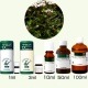 アロマ レアバリューオイル 希少価値精油 Herbal Life ヤロウ・ブルー 生活の木|エッセンシャルオイル・精油|癒し・リラクゼーション