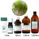 アロマ エッセンシャルオイル Herbal Life サイプレス 生活の木|エッセンシャルオイル・精油|癒し・リラクゼーション