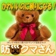 防災クマさん テディベア型非常用持ち出しセット|防災用品・防犯グッズ|生活雑貨＆家庭用品