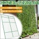 緑のカーテン　植物で日よけ|日よけ・目隠し|生活雑貨＆家庭用品