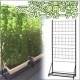 緑のカーテン ベランダ用グリーンカーテン|販売終了商品2|販売終了商品