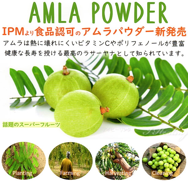 IPM アムラパウダー 100g 食品認可 ビタミンC ポリフェノール豊富