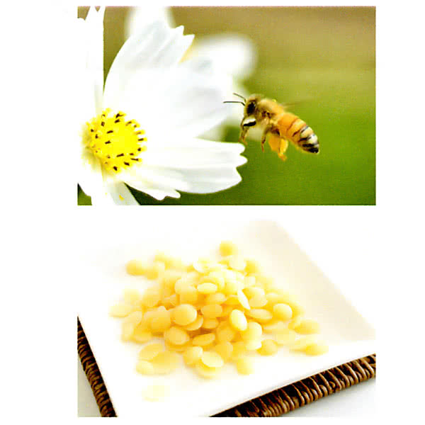 ӡå 񻺤ߤĤ꡼ ٥ι إå BEESWAX ȱ ȩ   25g