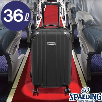 SPALDING スポルティングキャリーケースSP-0707-55 拡張