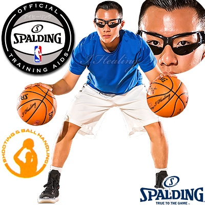 ݥǥNBAǧȥ졼˥ ɥ֥르 Хåȥܡ ܡϥɥ SPALDING8481CN * SPALDING 8481SPCN