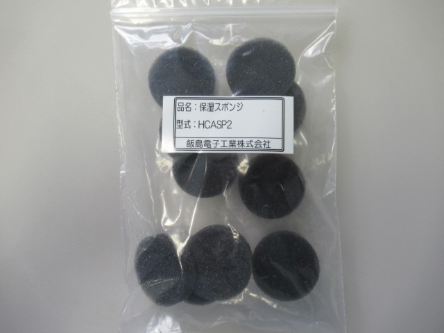 �ݼ����ݥ󥸡�������HCASP2