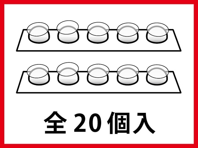 Ǵ�奲���20�����ˡ�������RG-2